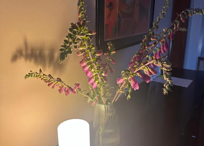 Apartamento Aeroporto *